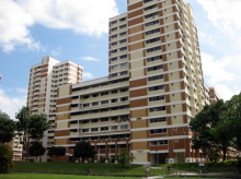 Blk 547 Hougang Street 51 (S)530547 #252362